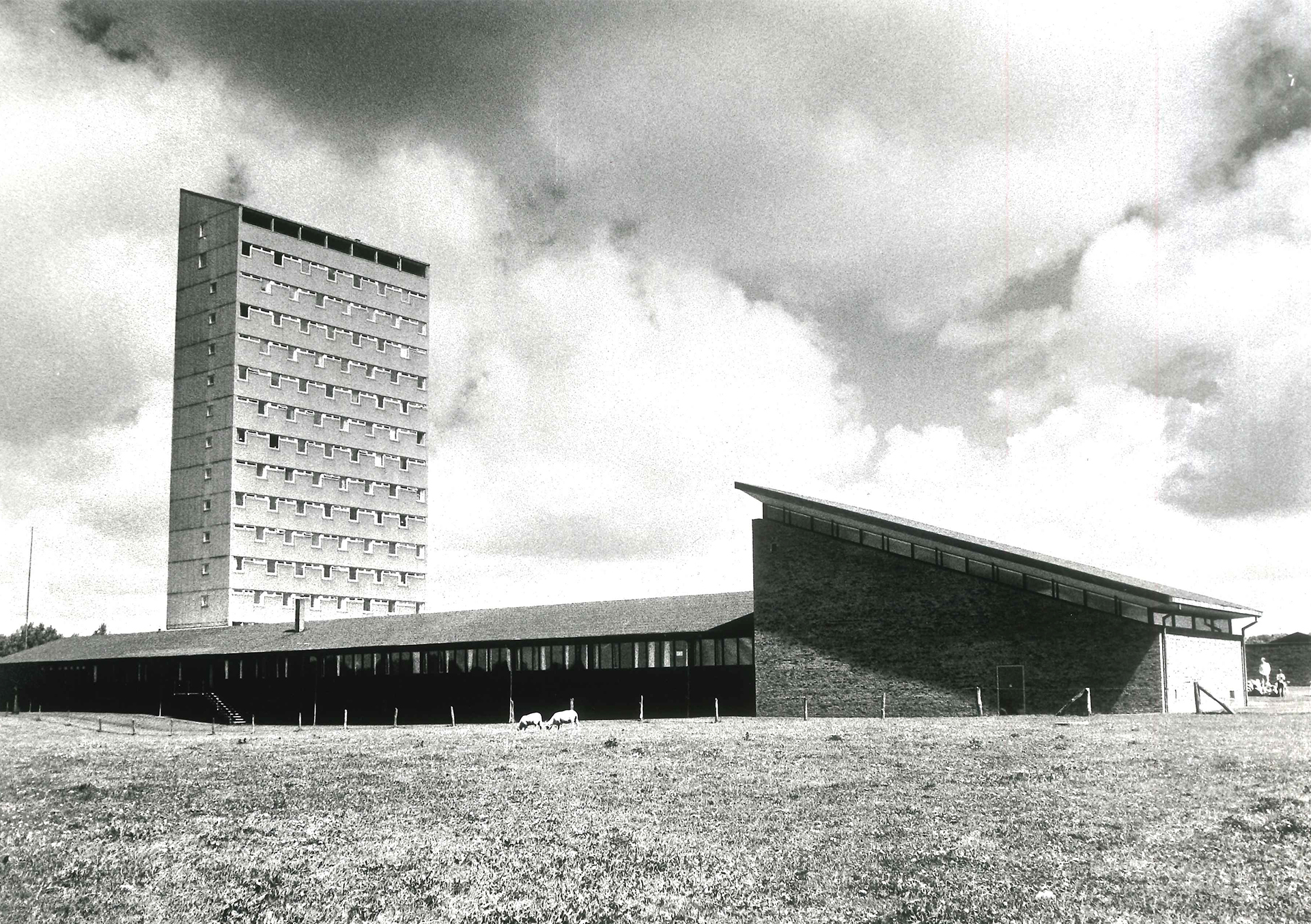 15. kunst og historien_0010_Komplex_14